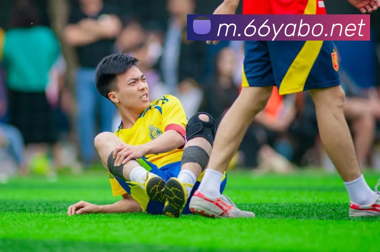 yaboAPP 封面图